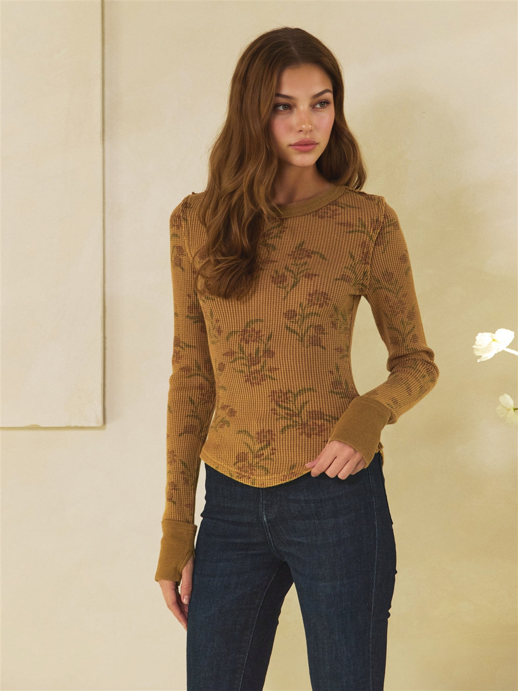 ET30537_CAMEL_5911519