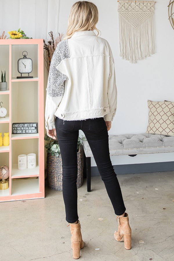 DS6174-2_CREAMLEOPARD_3483216