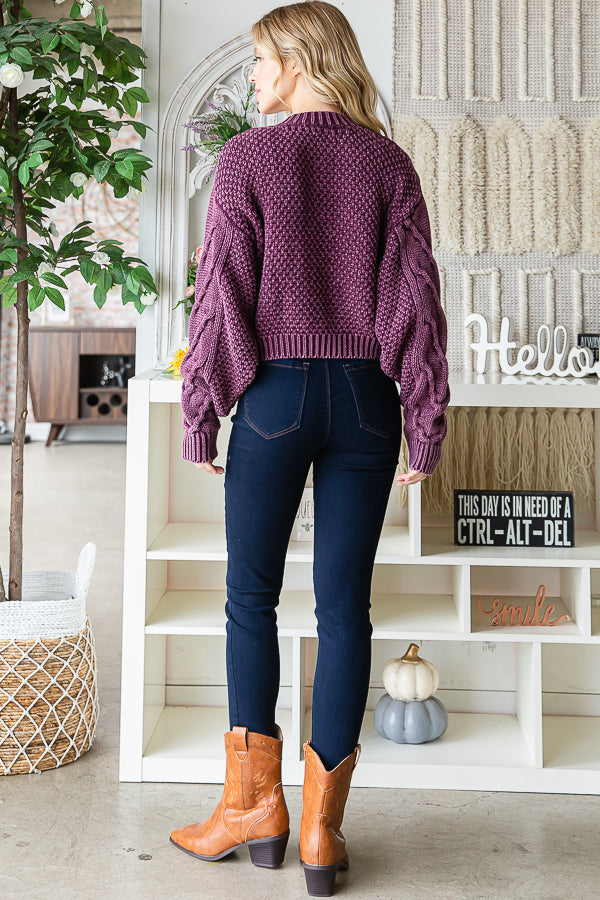 BT0008_EGGPLANT_3474263