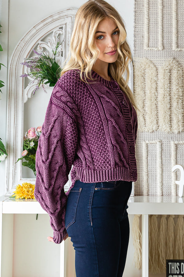 BT0008_EGGPLANT_3474262