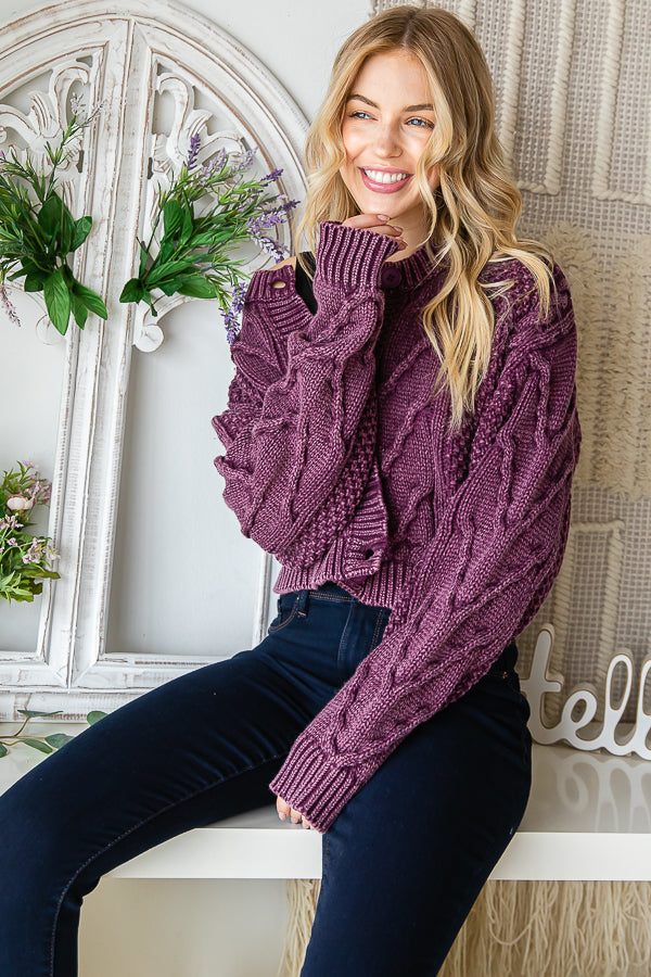 BT0008_EGGPLANT_3474259